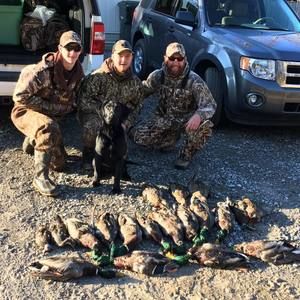 Meet your Posher, Harrison